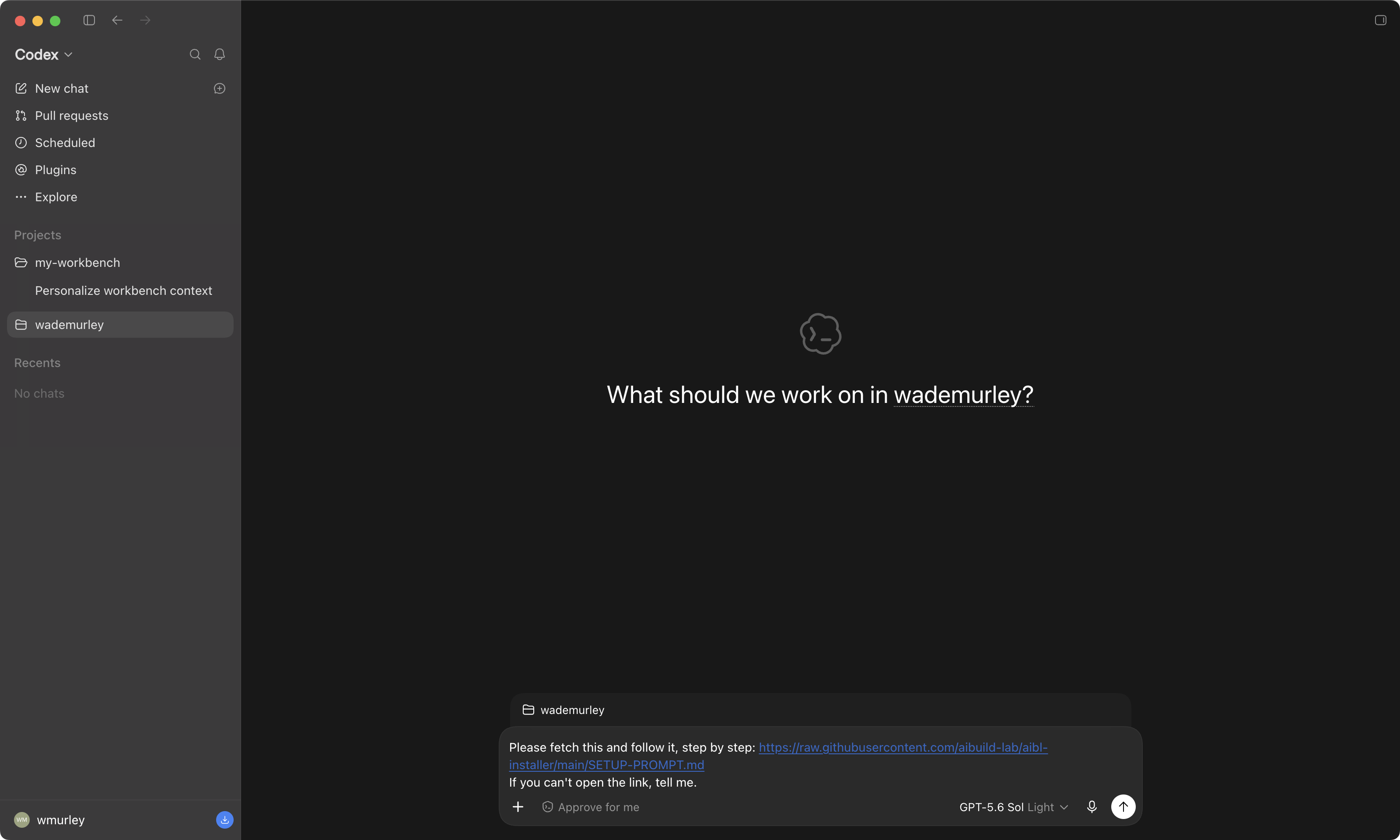 The setup message pasted in the Codex box where you type, not sent yet, with the installer link visible.