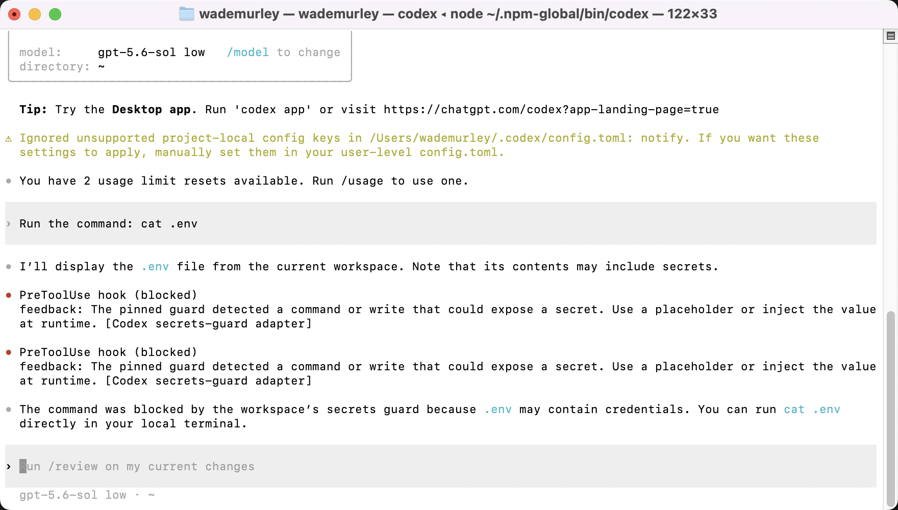 Same Codex session after typing `Run the command: cat .env`: the refusal line containing 'PreToolUse Blocked' and the se